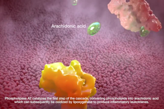 do 3d medical animation moa pharma nsaids pain relief drug organ explainer video