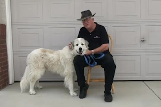 be your vet pro voiceover narrator actor, breathing life into your story