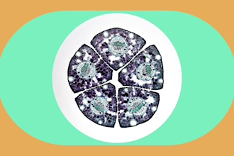 design a medical , healthcare, meditech logo professional