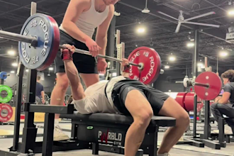 create personalized 4 week powerlifting and bodybuilding programs