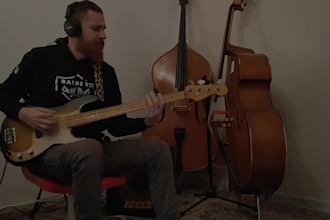affordable but pro punk, punkrock and hardcore bass line