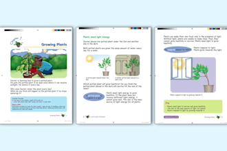 do any indesign, illustrator, photoshop manual work