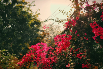 do cinematic color grading and transitions to your videos