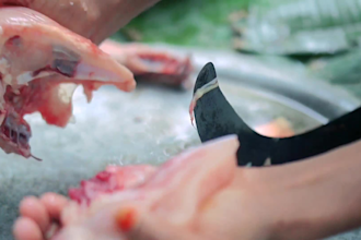shoot village cooking video