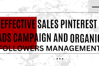 effectively setup pinterest ads campaign organic followers