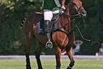 shoot videos for your reels