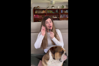 create ugc and ads for dog pet brands social media