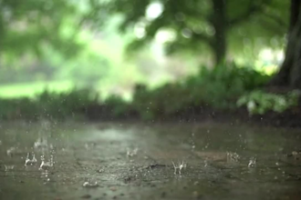 create nature rain videos for your channel