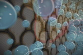 do surgical, biological, and medical animation for you in 3d