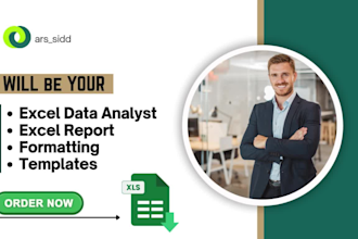 be your excel data analyst, excel report, formatting, templates