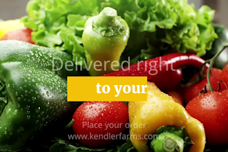 professional logo design,video editing, and photo retouching