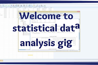 do professional data analysis using spss and excel