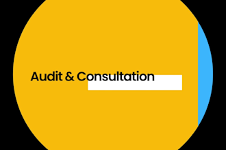 provide audit and consultation for business operations