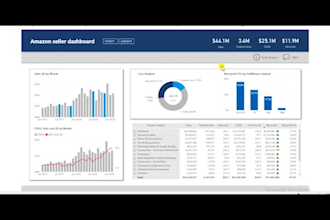 provide professional excel dashboard training