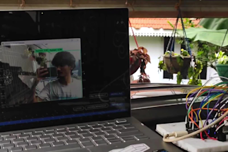 make custom deep learning models for object detection and classification