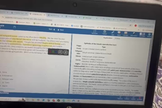 teach you  usmle step 1