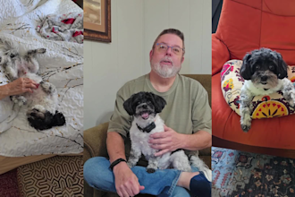 create ugc video ads for pet products with my cute dog