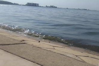 tell story to everyone