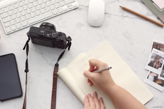 seo article writing, blog and guest post, website content, copywriting