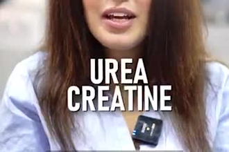 add subtitles, captions, and srt files to your video