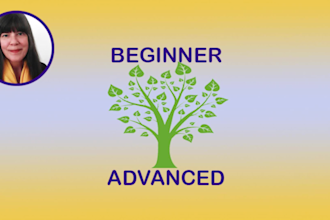 offer customized english lessons to improve your knowledge