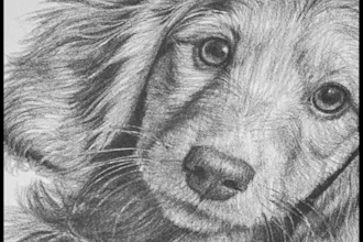 hand draw custom realistic pencil portraits from photos