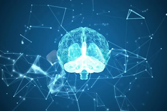 create 3d interactive website, webgl, gsap, threejs 3d configurator, webflow