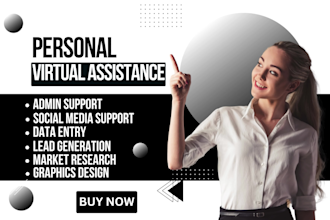 your professional personal virtual assistant web researcher blog product upload