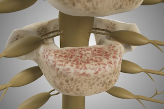 make 4k 3d medical animation 3d surgery medical explainer video, anatomy dental