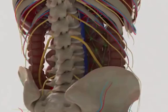 create 4k 3d medical animation 3d product demo surgery procedure explainer video