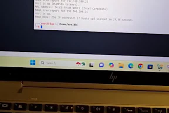 perform penetests and deliver vulnerability reports