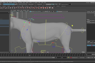 do 3d model for second life animal, second life character and 3d rigging