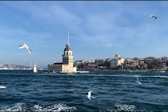 guide you in a cultural tour in istanbul, turkey