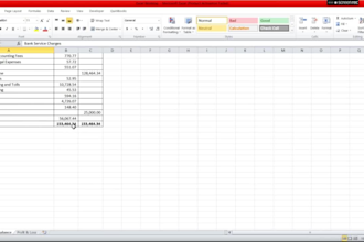 provide professional microsoft excel bookkeeping and financial reporting