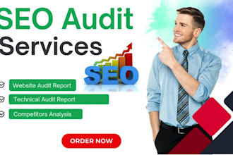 provide a professional SEO audit and in depth competitor analysis