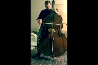 give online double bass lessons and consultations
