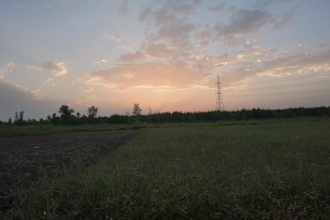 make awesome timelapse video on your request