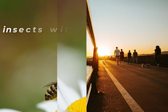 make professional, memorial and  image text slide shows