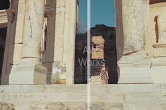 remove or add 2d and 3d objects in the video