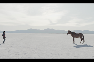 professionally color grade your videos