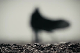 compose original music for films and video games