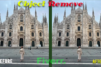 do expert object removal for picture perfect moments