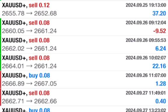 provide automated trading bot, forex trading robot, forex robot, gold ea hft bot