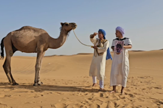 wish happy birthday with camel birthday
