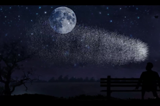 make a beautiful animated lyric video for your song