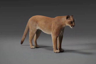do 3d cgi animal animation, 3d animal model, animal rigging, 3d character model