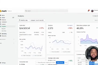 create a professional shopify website that drives sales