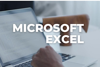 fastest ms excel data entry in one day,internet research