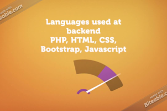 expert wordpress developer create customize and manage your professional website