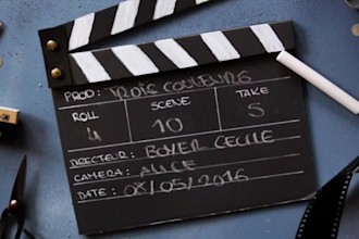 write winning screenplay, treatment, logline, and synopsis for your film TV show